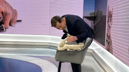 Hubert Thuma, președintele CJ Ilfov, îndeamnă la adoptarea responsabilă a animalelor de Ziua Internațională a Animalelor fără Stăpân