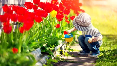 Vreme nebună! Temperaturile ajung la 33 de grade Celsius, după care scad la 15. Prognoza meteo pentru săptămâna viitoare