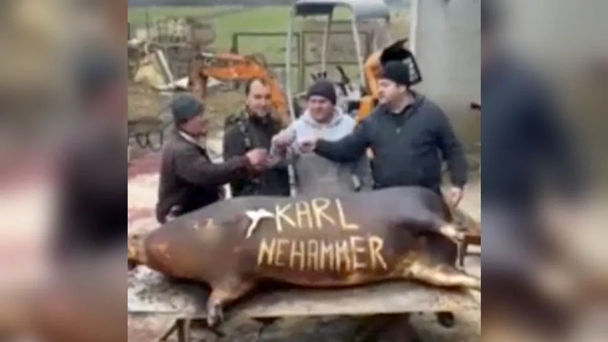 Cancelarul Austriei, ironizat la tăierea porcului de mai mulți români