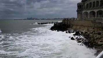 Ce animale periculoase sunt în Marea Neagră: nu este atât de sigură pe cât pare