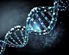Mutație genetică anti-HIV, descoperită la strămoșii noștri de acum 9000 de ani