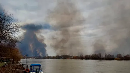 Cercetătorul Ștefan Răileanu: Problema incendierii stufului din Deltă trebuie rezolvată legislativ