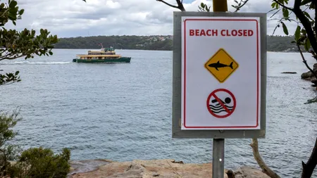 Australia, atacată de rechini: patru oameni răniți în 2 zile. Piscina devine o alternativă