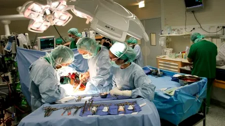 Premieră la Boston: Rinichi de porc transplantat unui pacient în viață