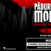 „Pădurea de Molizi”, filmul lui Tudor Giurgiu despre Masacrul de la Fântâna Albă – proiecție specială la Galați