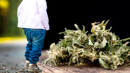 Alertă în Bulgaria: Șase copii se află în stare gravă la spital după ce au mâncat biscuiți cu cannabis