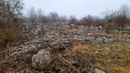 Megainvestiţie într-o seră de tomate pe zeci de hectare la Sibiu. Planurile  polonezilor de la Citronex. Exclusiv