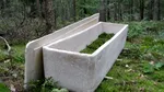Sicriul din ciuperci care schimbă industria funerară: o alternativă ecologică ce se cultivă în doar șapte zile