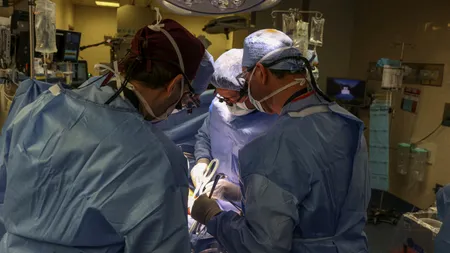 Primul pacient din lume, beneficiar al unui rinichi de la porc, a fost externat dintr-un spital din SUA