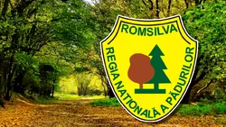 Regula de aur a achizițiilor la Romsilva: Cinci firme împart o treime din buget