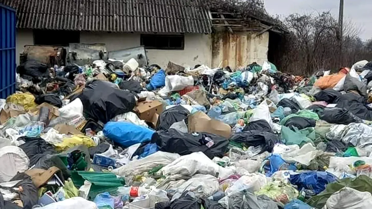 Statul vrea ordine şi disciplină în curţile românilor. Ce amenzi riscă cei care nu-şi îngrijesc ograda