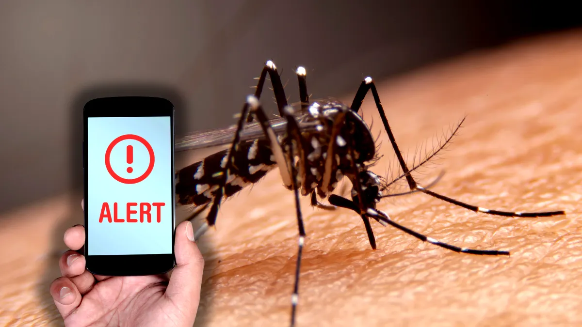 Țânțarii nu dispar toamna: 83 de cazuri de West Nile și 5 morți în România