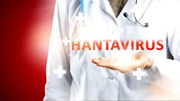 A fost confirmat primul caz de infecție cu hantavirus în România