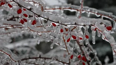 Vremea o ia razna în România. Urmează 4 zile cu ploi înghețate