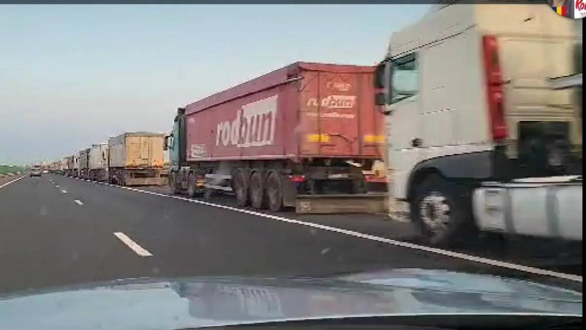Tensiune în portul Constanța: Șoferii români au ajuns să se bată cu cei străini la cozi