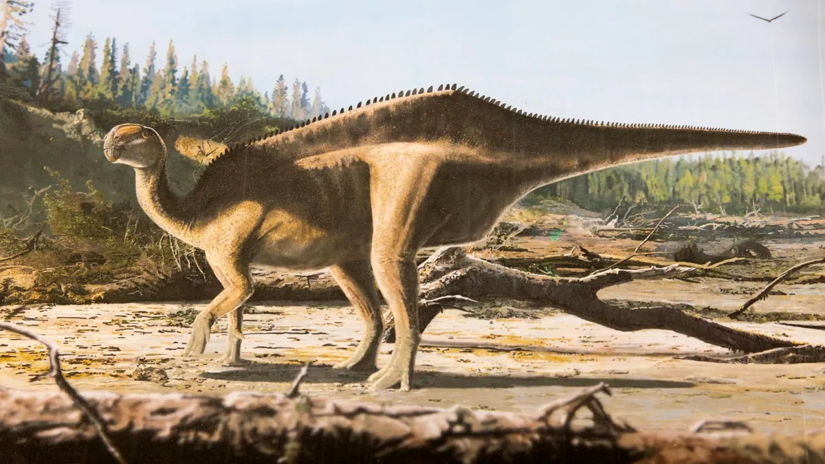 Nouă specie de dinozaur descoperită în Anglia: avea o „velă” spectaculoasă pe spate