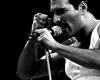 Mister elucidat: Freddie Mercury ar fi avut o fiică secretă