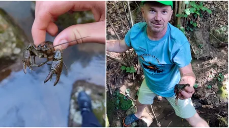 Racul din Munţii Apuseni. Descoperire făcută de un cercetător din Bihor