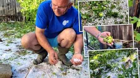 Ploi torențiale și grindină distrug grădini și livezi în mai multe zone din țară