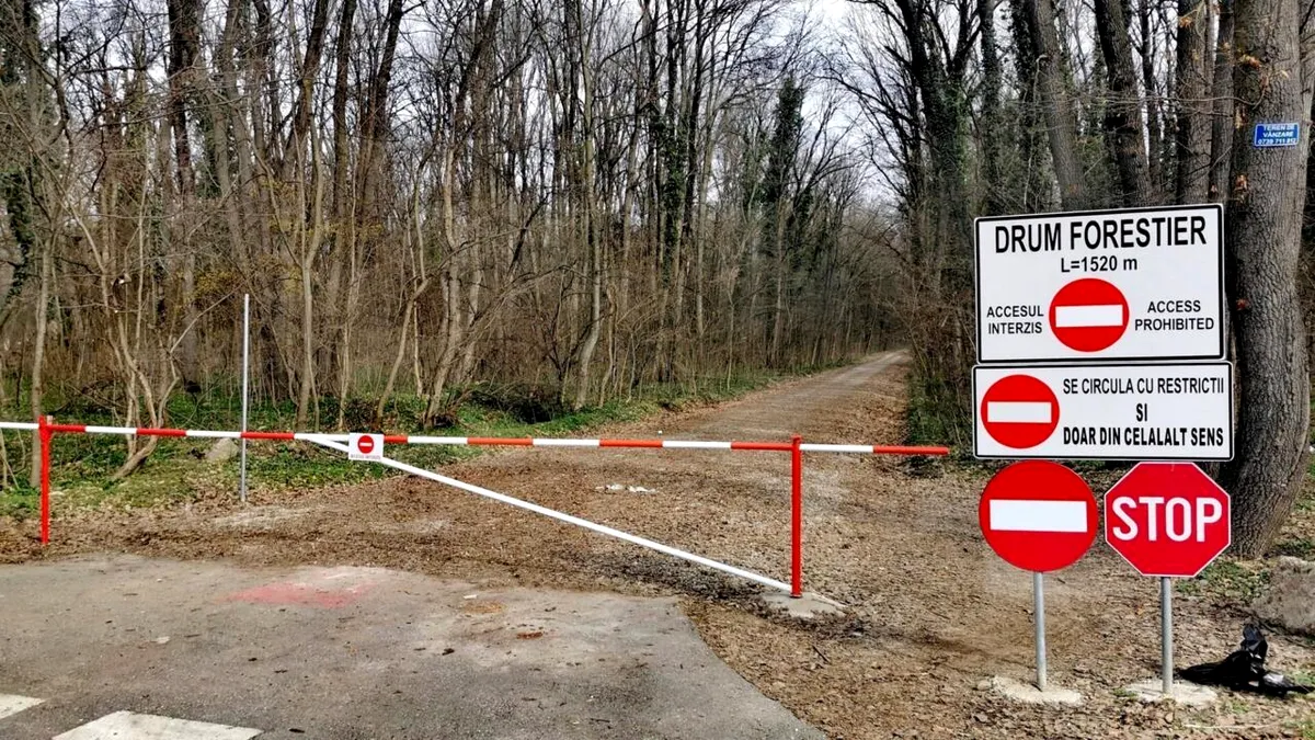 Ministerul Mediului, semnal de alarmă. Drumul forestier din Pădurea Băneasa nu respectă condițiile legale