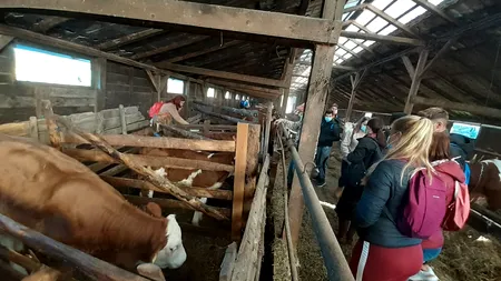 Doar 3.400 de elevi de la liceele agricole au făcut practică la companii private, în ultimii 2 ani
