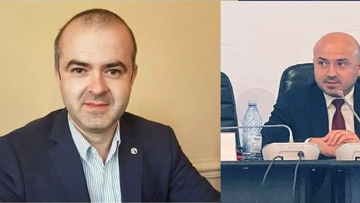 Șeful ANI, Ionel Moise 