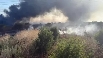 Incendiu de vegetație în Clinceni: zeci de persoane evacuate, pericol pentru locuințe