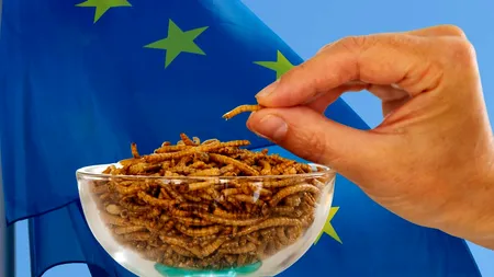 Pulberea de viermi îmbunătățită cu UV, autorizată în UE