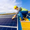 Fotovoltaicele amenință supremația IT-ului. Cât se câştigă în domeniu