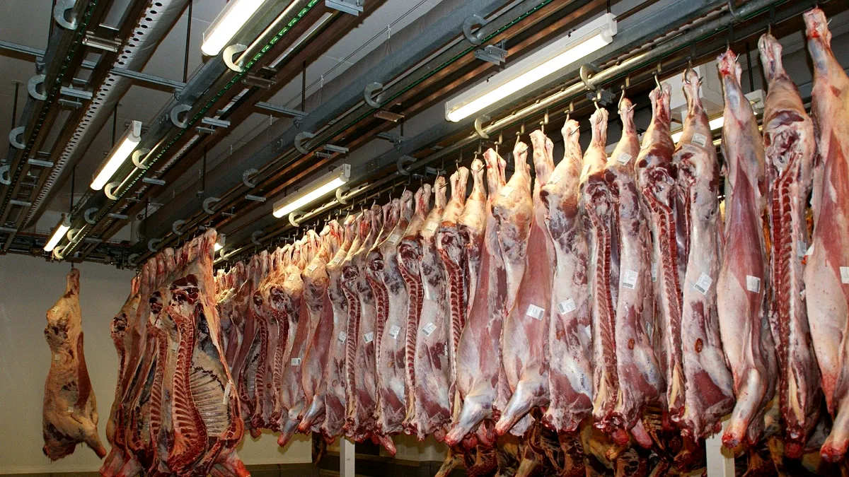 Sisteme de supraveghere în abatoarele din Spania, ca animalele să nu mai fie maltratate