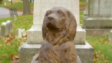 Statuia unui câine, veche de 100 de ani, atracție pentru vizitatorii din Brooklyn