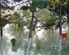 Cod galben de viituri în 11 bazine hidrografice și pe râurile din Dobrogea, în weekend