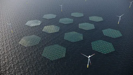 Qatarul, interesat de concesionarea unui perimetru în Marea Neagră, pentru energie solară și eoliană