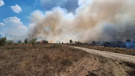 Incendiu foarte aproape de Pădurea Băneasa