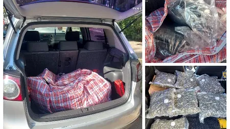 Patru traficanți de droguri au fost arestați preventiv
