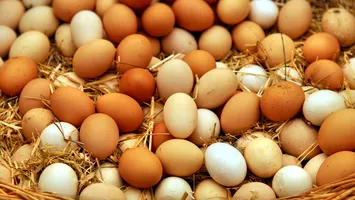 Francezii mănâncă tot mai multe ouă. Producătorii nu mai fac față cererii