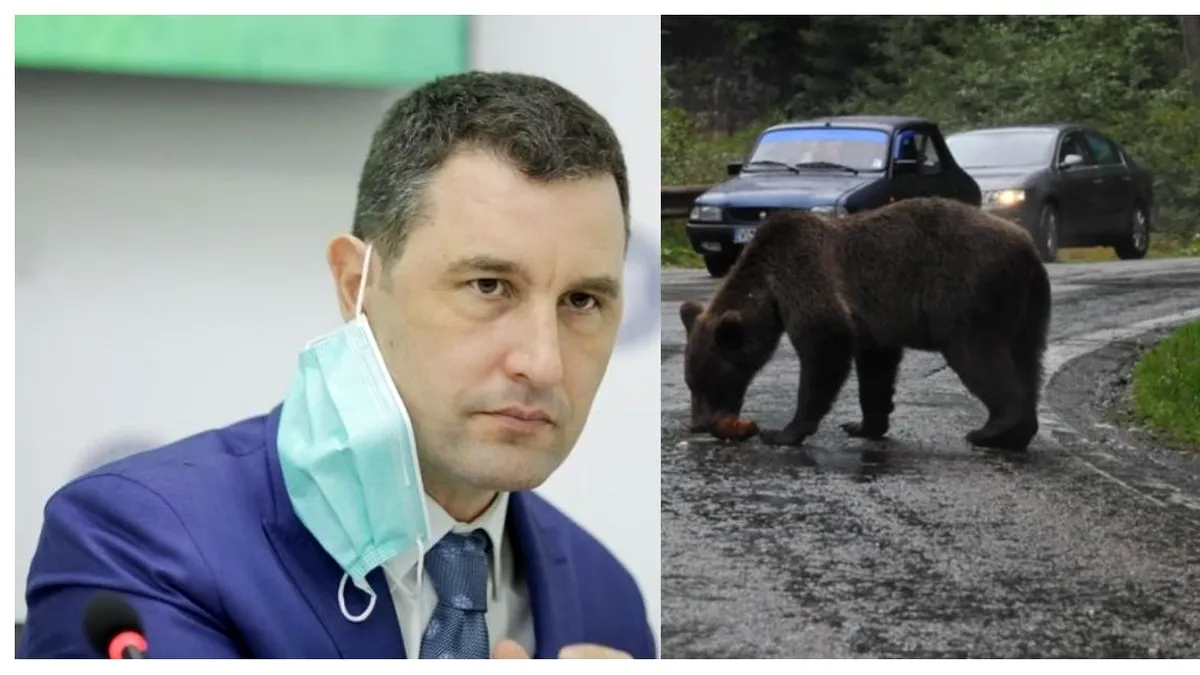 Tanczos Barna, după recensământul urșilor: „Sper că Ministerul Mediului va lua măsurile necesare”