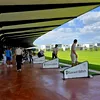 Cel mai mare club de golf din sud-estul Europei, inaugurat oficial lângă București