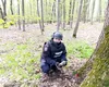 Proiectil descoperit de un culegător de ciuperci într-o pădure din Botoșani