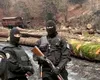 Mafia lemnului are și susținere politică în Suceava (Video)