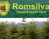 Rețetă de succes la Romsilva. Soția este subalterna directorului