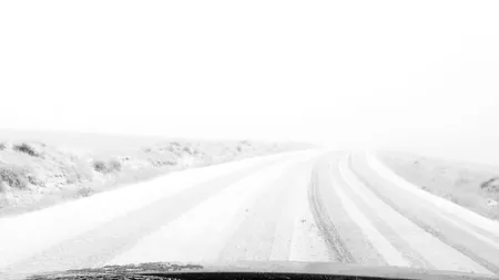 Ninsori abundente în Coreea de Sud. Sunt mai multe victime