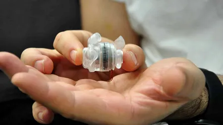 Prototipurile cele mai mici inimi artificiale, în curând, testate pe animale, la UMF Iași