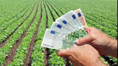 Subvenție de 100 de euro pe hectar pentru fermieri