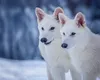 Lupii feroce ai viitorului: Romulus, Remus și Khaleesi, primii „copii” aduși înapoi din preistorie