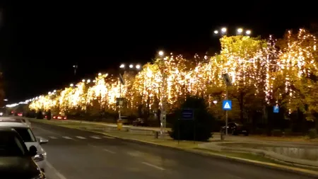 În plină criză energetică, Nicușor Dan atârnă luminițele de Crăciun pe stâlpi și prin copaci