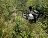 Accidentul din Argeș: De ce victimele accidentului au fost găsite după 9 ore