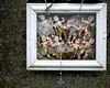 Descoperire tulburătoare în Irlanda. Au fost găsite rămășițele a 800 de bebeluși într-un azil condus de măicuțe, într-un mormânt comun