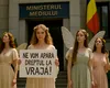 De Sânziene, a izbucnit scandalul florilor furate: zânele dau în judecată statul român