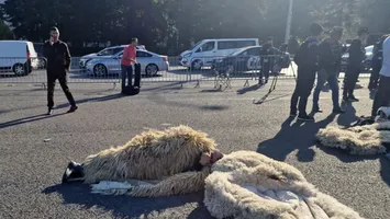 Ciobanii protestează la Guvern, nemulţumiţi că exporturile de carne de miel au fost interzise, chiar înainte de Paște  (VIDEO)